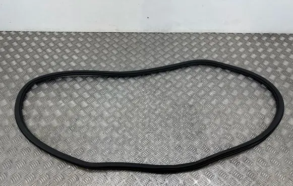 Skoda Enyaq iV Rubber seal rear door 5LG867368B