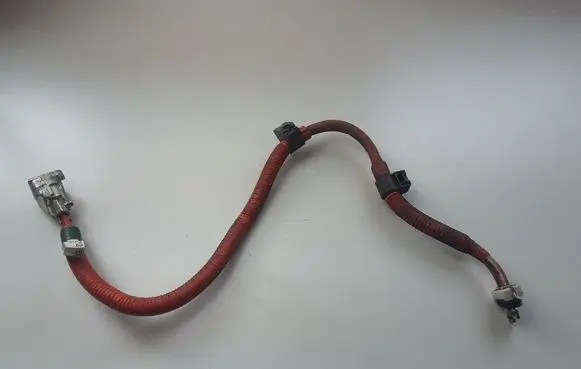 Lexus IS III XE30 Other wiring loom