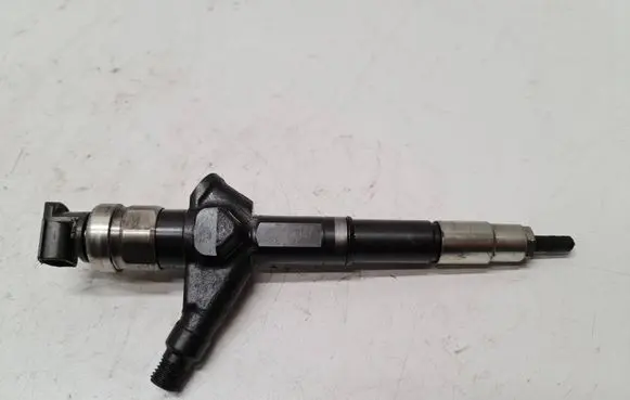 Nissan Pathfinder R51 Fuel injector 16600EB300 07G08672