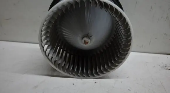 Heater fan/blower