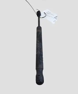 Volvo S80 Tailgate/trunk strut/damper 30779837