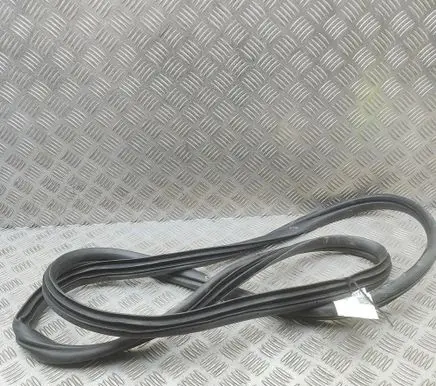Hyundai Ioniq 5 Rubber seal rear door 83110GI000