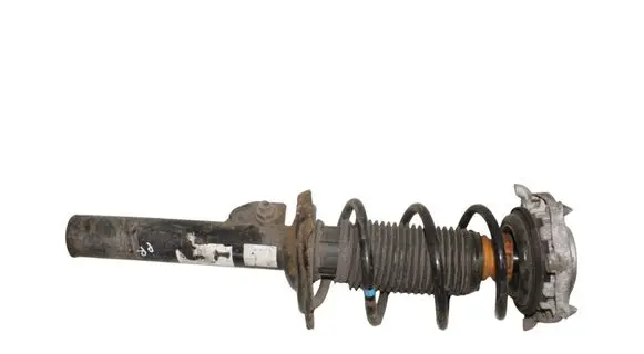 Cupra Born Front shock absorber/damper 1EA412013DH