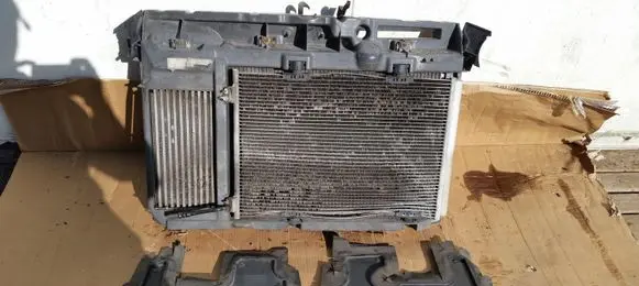 Citroen C3 Radiator set 