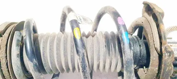 Front coil spring