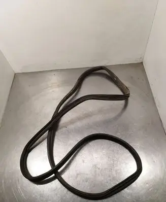 Rear door rubber seal (on body)