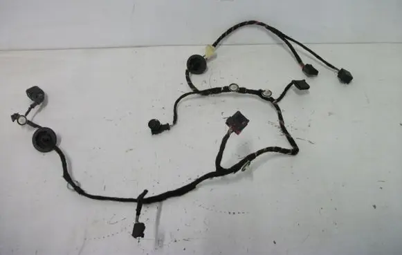 Front door wiring loom