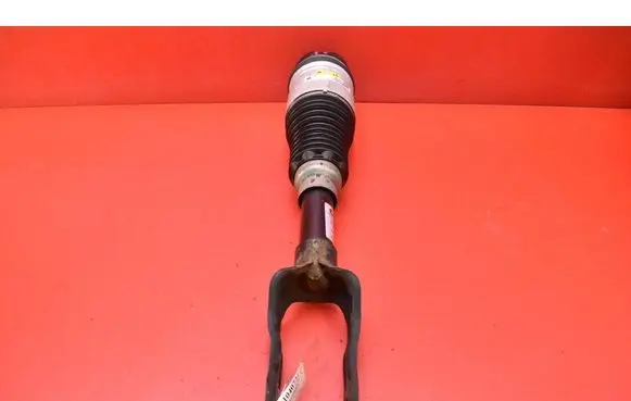 Jeep Grand Cherokee Front shock absorber/damper 68029902AE