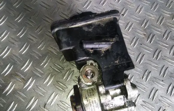 BMW 3 E46 Power steering pump 7691974513 1095748