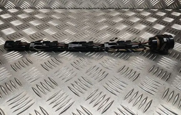 Audi A4 S4 B6 8E 8H Fuel injector wires 038971803 038906231