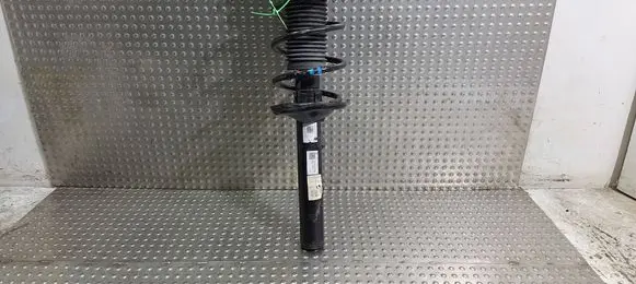 Front shock absorber/damper