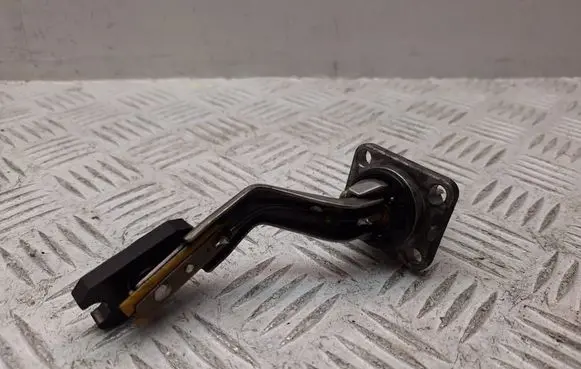 Toyota Avensis T270 Oil level sensor 8949120130