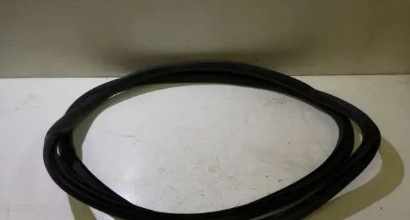 Opel Insignia A Rubber seal front coupe door 