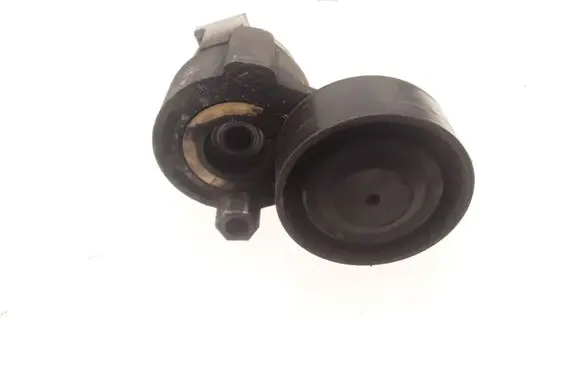Renault Clio III Timing belt/chain tensioner 8200608550