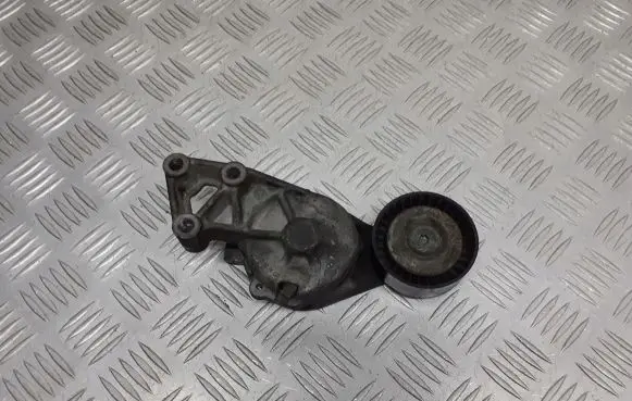 Seat Alhambra (Mk1) Alternator belt tensioner pulley 038903315F