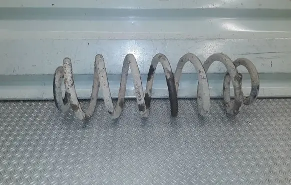 Volkswagen Golf V Rear coil spring 