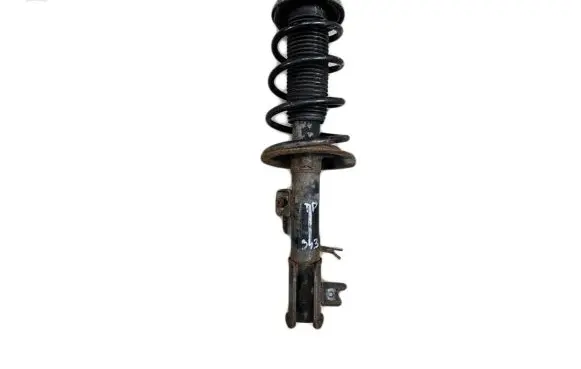 Fiat Sedici Front shock absorber with coil spring 79J02