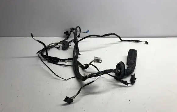 BMW 3 F30 F35 F31 Front door wiring loom 9313619