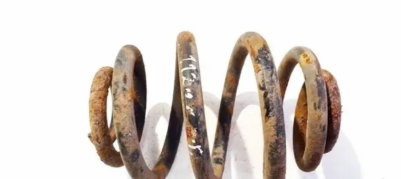 Volkswagen Sharan Rear coil spring 