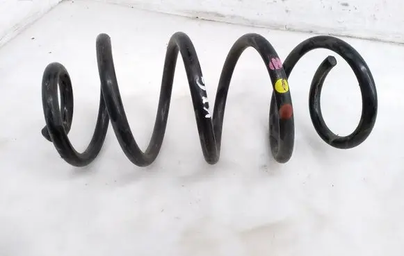Rear coil spring