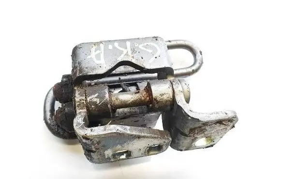 Rear door lower hinge