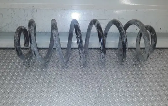 Volkswagen PASSAT B6 Rear coil spring 