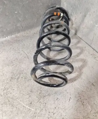 Rear coil spring