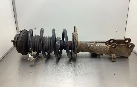 Fiat Freemont Front shock absorber with coil spring