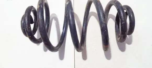 Volkswagen PASSAT B5.5 Rear coil spring