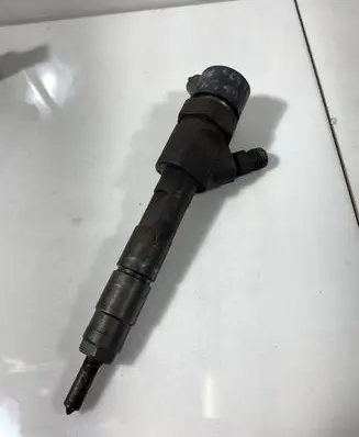 Renault Laguna II Fuel injector 0445110110B