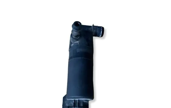 Nissan Juke I F15 Headlight washer pump 1014562