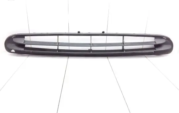 Front bumper lower grill