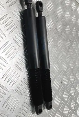 BMW 5 F10 F11 Rear window strut damper 1312120425N 7210557
