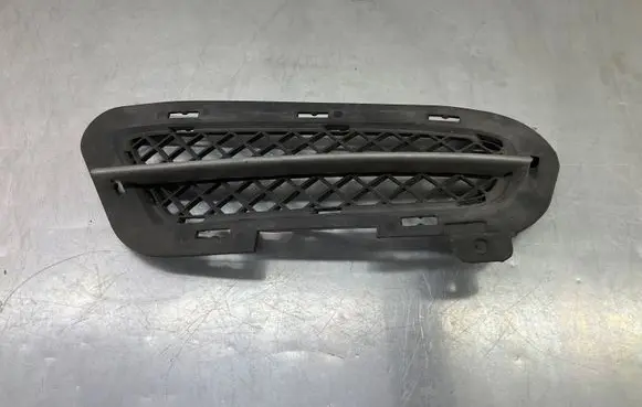 BMW Z4 E89 Front bumper lower grill 7203798