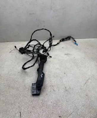 Front door wiring loom