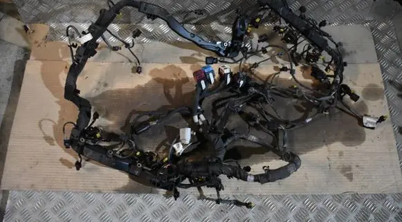 Porsche Cayenne (9Y0 9Y3) Wiring harness 