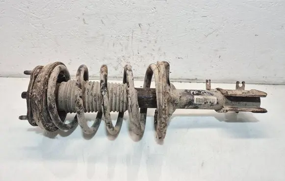 Chevrolet Epica Front shock absorber with coil spring 96814505