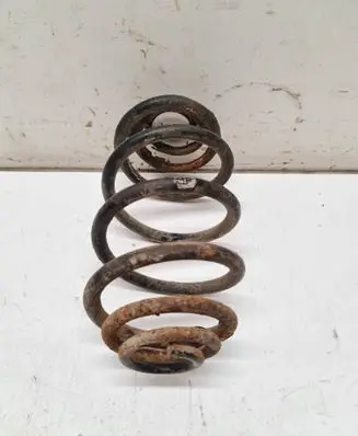 Rear coil spring