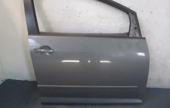 Volkswagen Golf V Front door