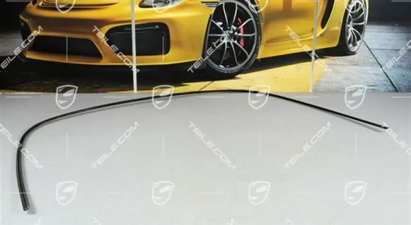 Porsche 911 991 Rear windscreen/windshield window 9P1853583