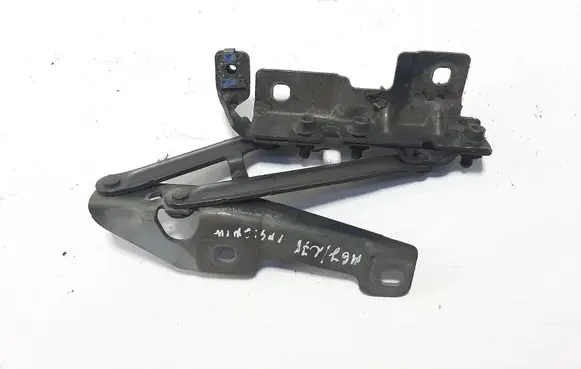 Opel Insignia A Engine bonnet/hood hinges 12841600