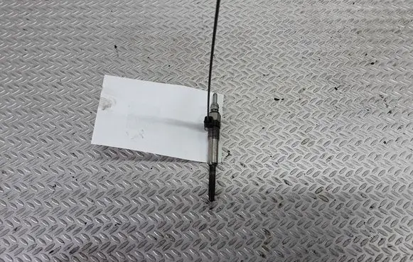 Chrysler Voyager Glow plug 1721810 5109