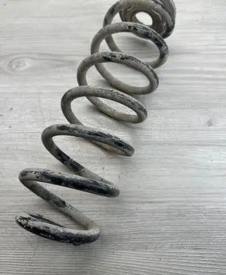 Volkswagen PASSAT B6 Rear coil spring