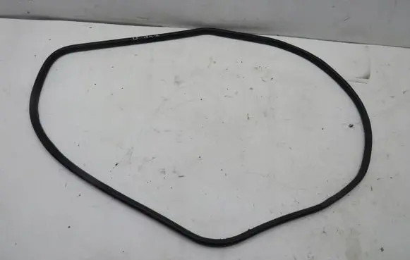Suzuki SX4 S-Cross Rubber seal rear door 1111