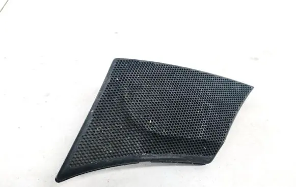 Front door speaker