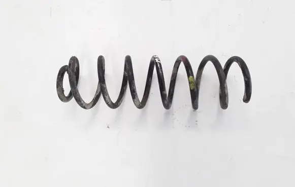 Renault Megane III Rear coil spring 550200026R