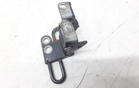 Volkswagen Phaeton Front door lower hinge 3D4831412A