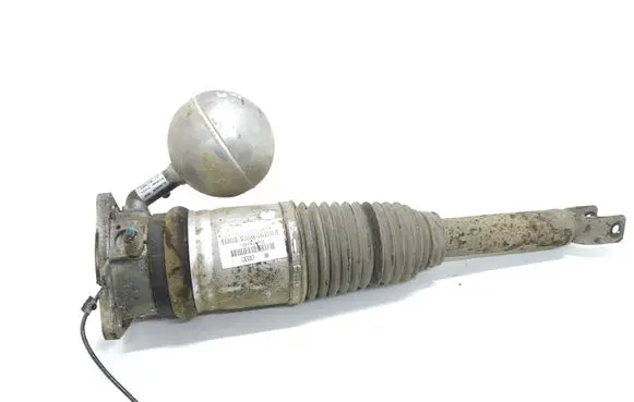 Volkswagen Phaeton Rear shock absorber/damper 3D0616002J