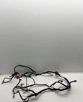 Tesla Model X Other wiring loom 248639600E