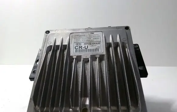 KIA Carnival Engine control unit/module 391024X520